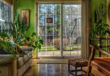 Creative Decorating with Houseplants, from Floor to Ceiling